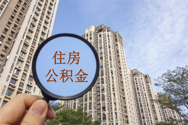 南城怎么把公积金全部取出来（如何将公积金全部取出）